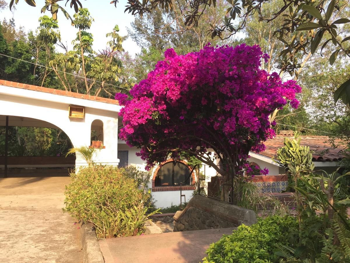 Villas Bellavista Cuernavaca Extérieur photo