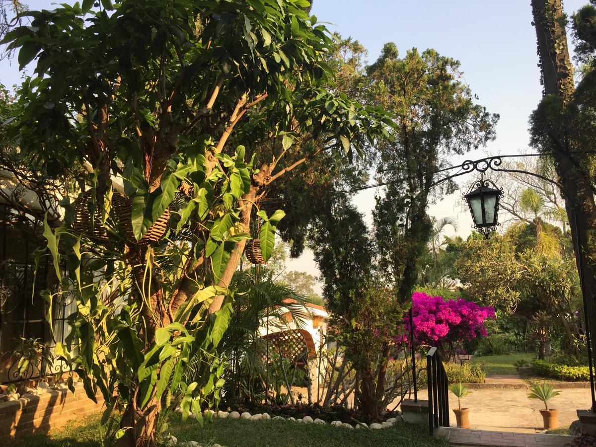 Villas Bellavista Cuernavaca Extérieur photo